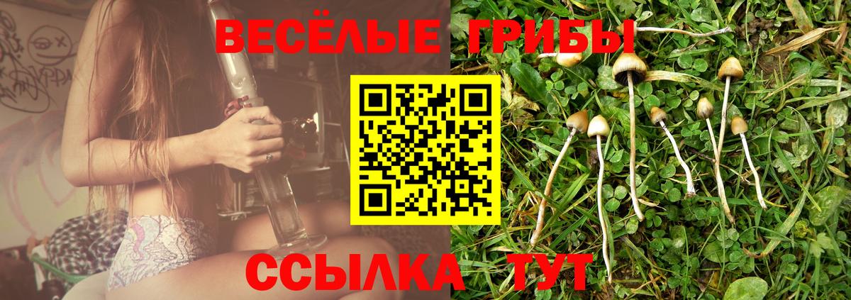 Псилоцибиновые грибы Psilocybine cubensis Большой Камень