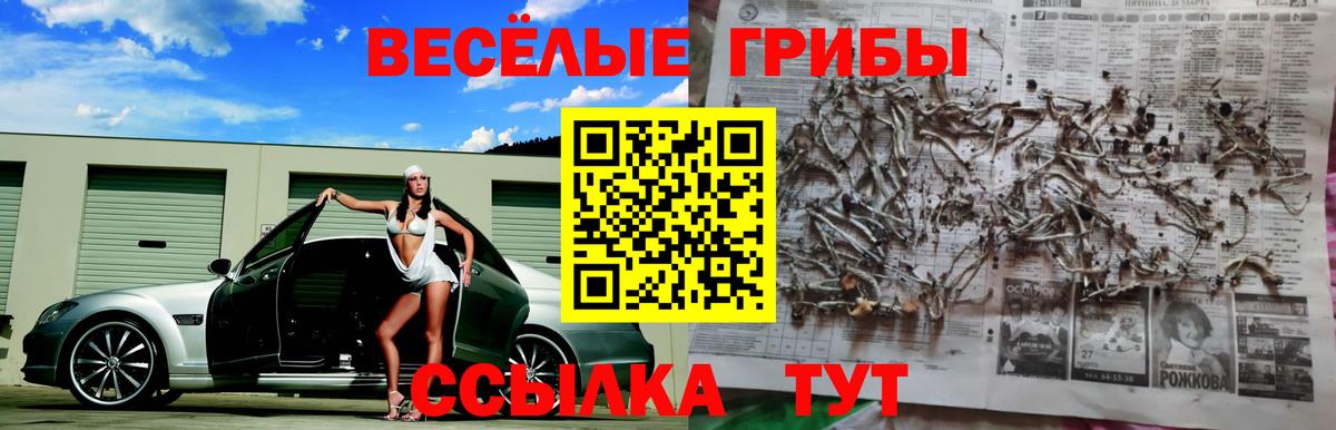 Большой Камень  Псилоцибиновые грибы прущие грибы  дарнет шоп  Вход с VPN 